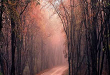 [CBA]季后赛5月7日：浙江VS新疆.