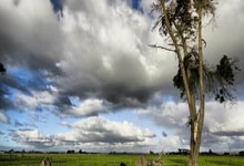 开云体育官网:字母哥34+15雄鹿送76人6连败 雷霆大胜篮.