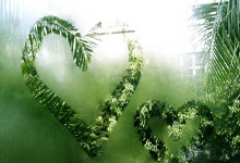 拜仁双杀莱沃库森 欧冠八强战国米.