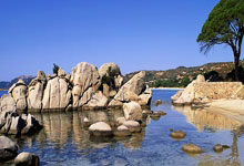 开云体育官网:患病淡出后回归 前乒乓世界冠军朱雨玲打球和事业两不误.